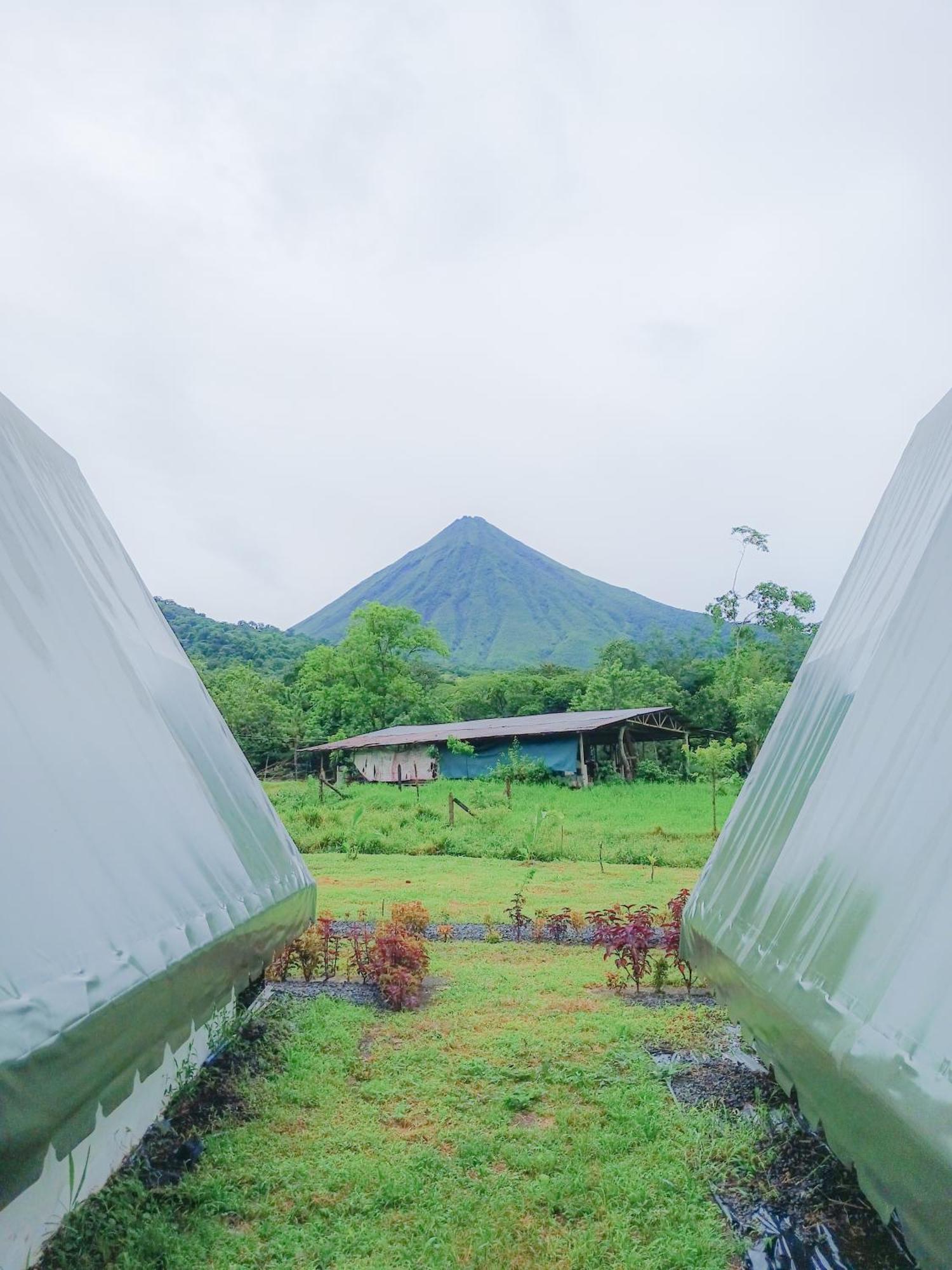 Flora Glamping De Abuela *