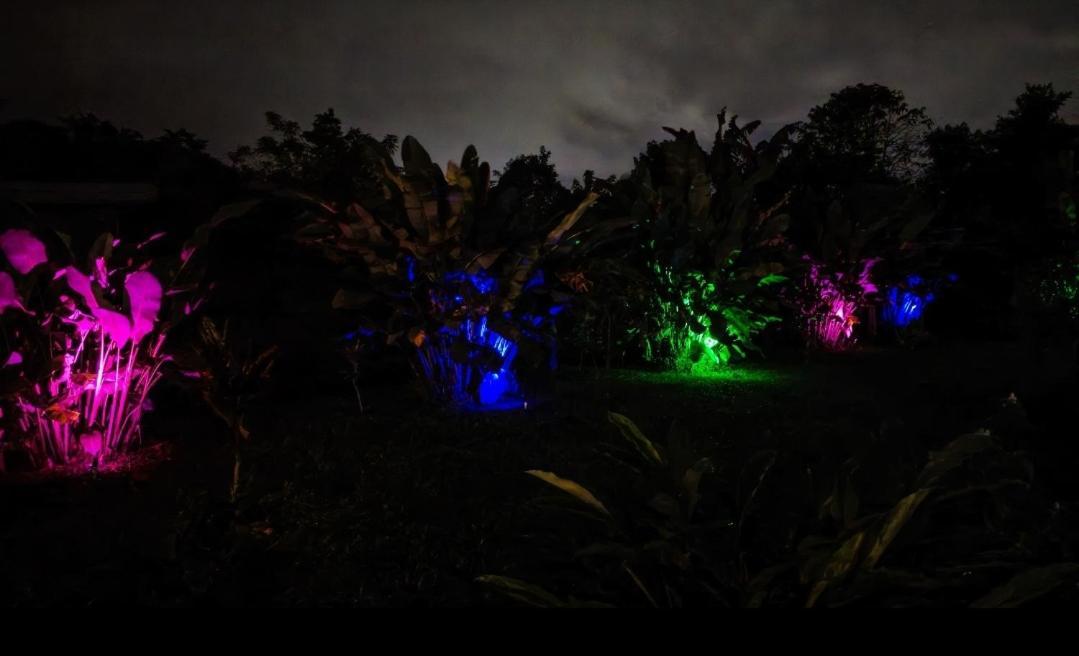 Flora Glamping De Abuela *